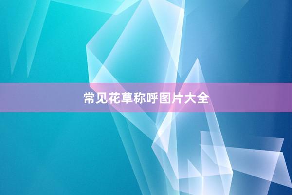 常见花草称呼图片大全